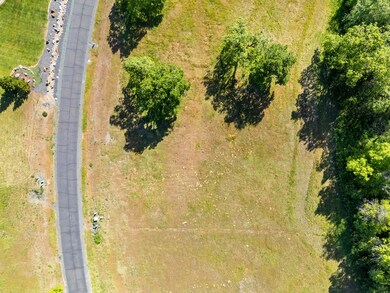 10_561 e forks cir - drone - 3
