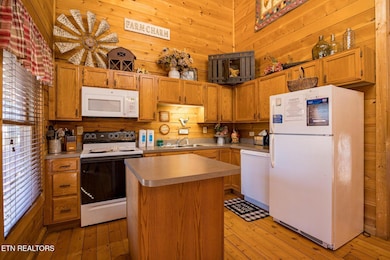 1628 Ginnys Tr, Sevierville, TN 37876 - photo 3