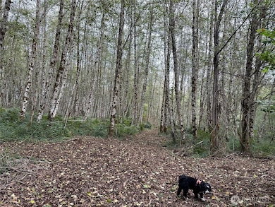 295 Oak Point Rd, Longview, WA 98632 - photo 5