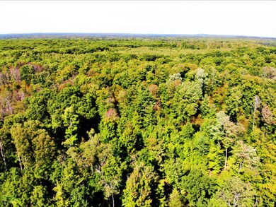 DJI_0390