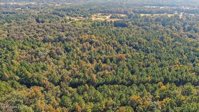 0 Cleary Rd, Florence, MS 39073 - photo 7