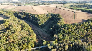 27 Ac. Dougherty Creek Rd, Argyle, WI 53504 - photo 5