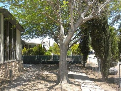 FRONT YARD AREA