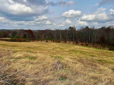 00 County Road 77, Arley, AL 35541 - photo 4
