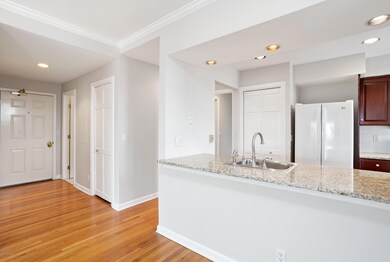 11 Lafayette CT Greenwich, CT-13