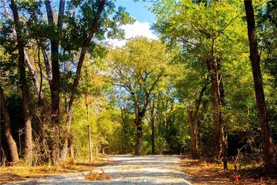 5115 N STATE HIGHWAY 5115 N State Highway 6, Hearne, TX 77859 - photo 4