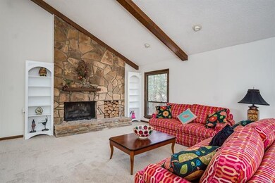 GAS STONE FIREPLACE