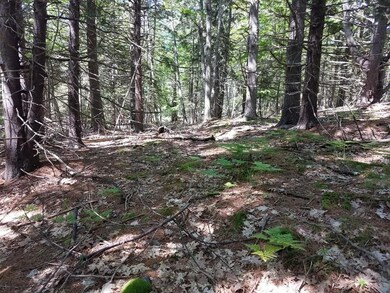 0 Ledgewood Ln, Freeport, ME 04032 - photo 2