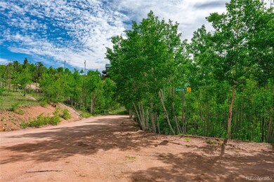 27 Granite Ct unit L1 CCME 6, Cripple Creek, CO 80813 - photo 5