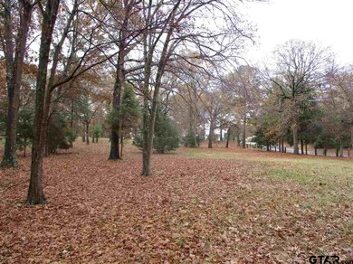 11059 County Road 290, Tyler, TX 75707 - photo 6