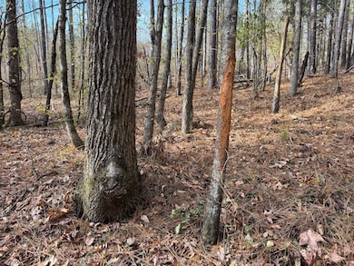 Middelton Rd, Elberton, GA 30635 - photo 7