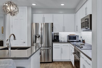 250 W Queen Creek Rd unit 101, Chandler, AZ 85248 - photo 2