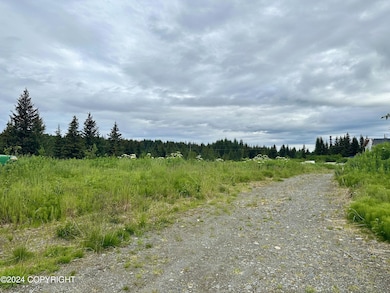 Driveway from Back of Property