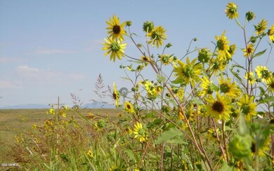 21995 S SONOITA HWY