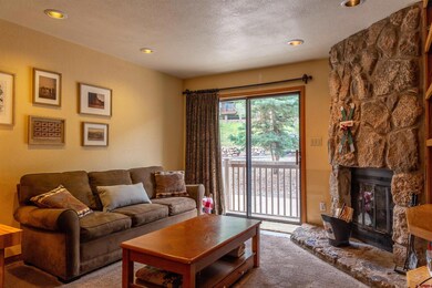 50827 Highway 550 unit 312, Durango, CO 81301 - photo 4