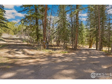 755 Fox Creek Rd, Glen Haven, CO 80532 - photo 2