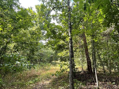 6136 Beaver Ridge Rd, Proctor, OK 74457 - photo 5