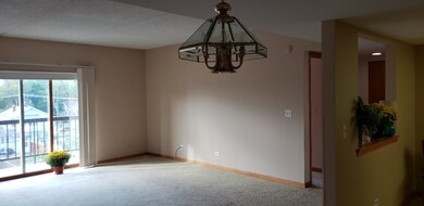 820 Graceland Ave unit 405, Des Plaines, IL 60016 - photo 6