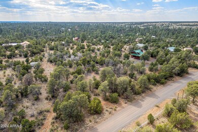 3356ApacheDr-Heber-AZ-3