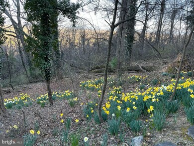 227 Skyview Ln, Winchester, VA 22603 - photo 4