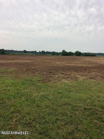 19.28ac Cooks Corner Rd, Lucedale, MS 39452 - photo 6