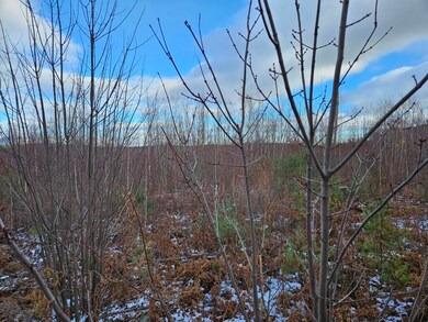 L52 Bridgton Rd, Sweden, ME 04009 - photo 7