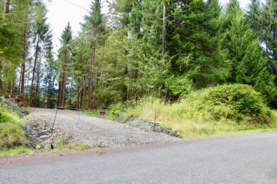 4 Chilkat Rd, Remote, AK 99921 - photo 2