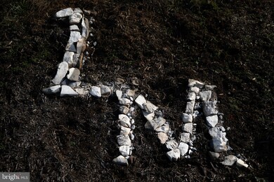 0 Wadesville Rd unit VACL112036, Russell, VA 22611 - photo 4