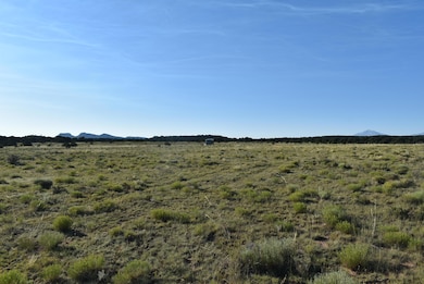 0 Lizard Ln, Gardner, CO 81040 - photo 6