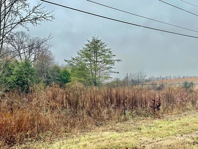 1700 Goddard Ln, Dandridge, TN 37725 - photo 5