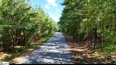 0 Neighbors Rd unit and Double A Trail, Clinton, SC 29325 - photo 2