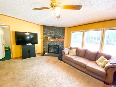 4384 Highway 319, Aynor, SC 29511 - photo 5