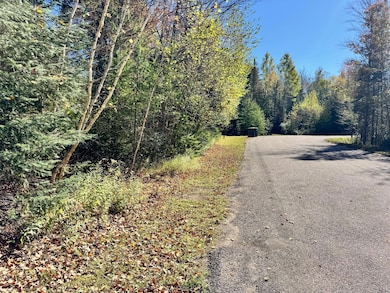 0000 Amber Lake Rd W unit Lot 3, Lac Du Flambeau, WI 54538 - photo 7