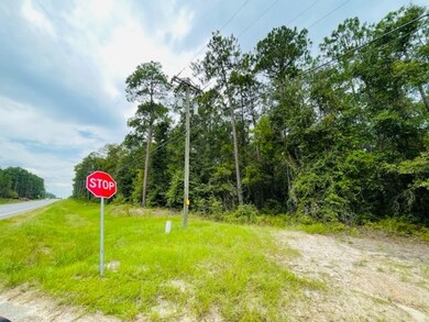 Tract 3 U S 319, Tifton, GA 31794 - photo 4
