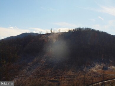 0 Reeds Creek Rd unit 1005560781, Franklin, WV 26807 - photo 3