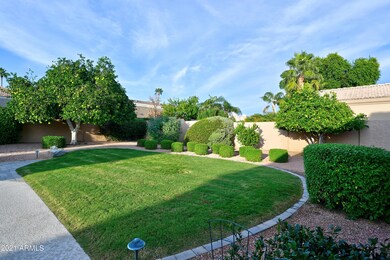 Backyard 5
