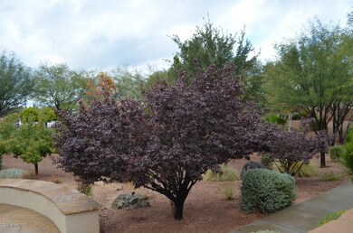 372 S Via de Los Rosales, Tucson, AZ 85711 - photo 7