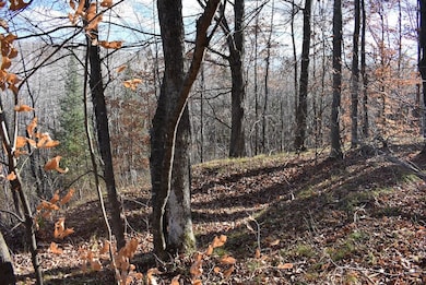 N13315 Harper Rd, Athelstane, WI 54104 - photo 2