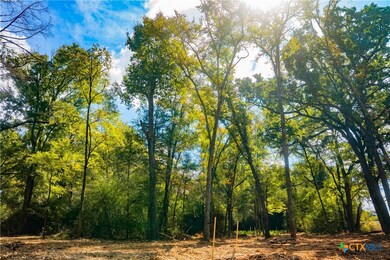 12338 Red Hill Rd, Hearne, TX 77859 - photo 4