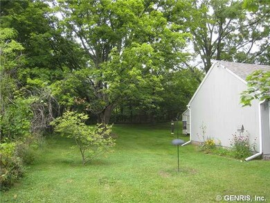 Yard. Very nice and private back yard....
