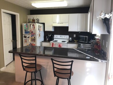 8340 Grand Trevi Dr, Louisville, KY 40228 - photo 4