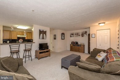 692 Winding Stream Way unit 101-13, Odenton, MD 21113 - photo 3