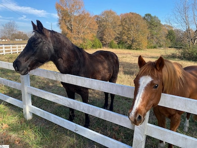 00 S Carolina 252, Laurens, SC 29360 - photo 2