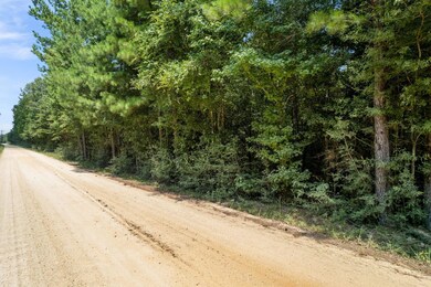 BLUE_LAKE_ROAD-7