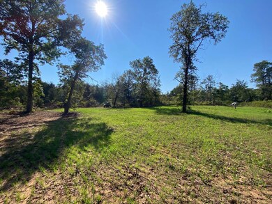 000 N Highway 41, Cecil, AR 72930 - photo 4