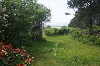 DSC03339
