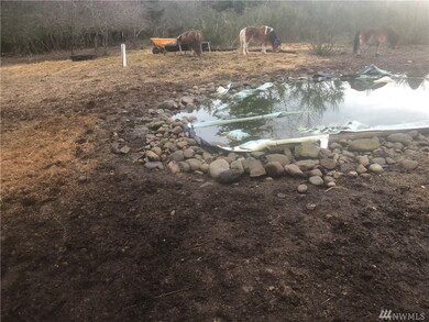 0 364th St S unit 1712996, Roy, WA 98580 - photo 4