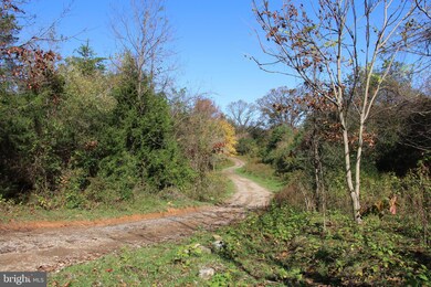 0 Tree Farm Ln, South River, VA 22610 - photo 6