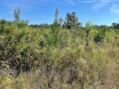 TBD Fm 1745 N, Colmesneil, TX 75938 - photo 2