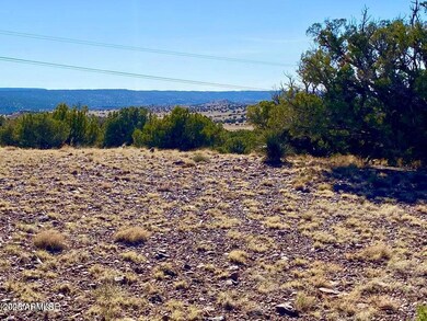 TBD Co Rd 5062 Lot 1 3 53 Acres --, Concho, AZ 85924 - photo 7